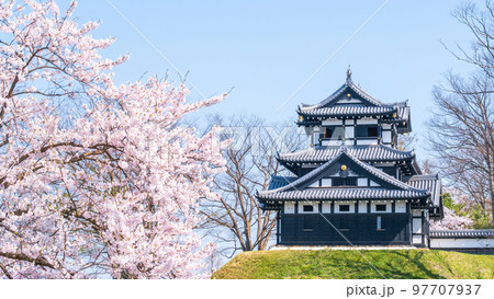 高田城址公園（春） 97707937