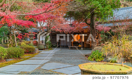 【神奈川県】紅葉に包まれる覚園寺境内　※撮影協力「覚園寺」プロパティリリース取得済 97707976