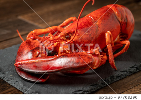 スチームしたロブスター 97708290