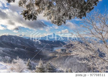 冬の大菩薩嶺登山道から樹氷・霧氷と富士山 97708511