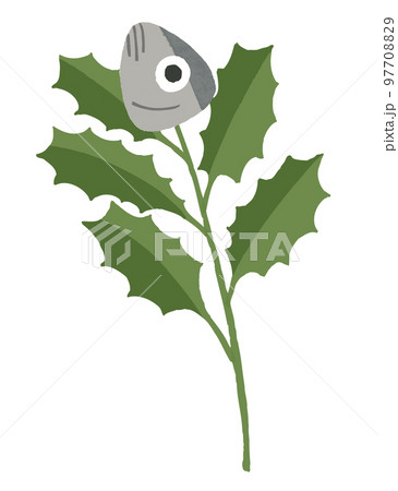 ひいらぎイワシのイラスト 97708829