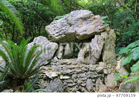 大石林山(沖縄県) 大石林山(沖縄県) 97709159