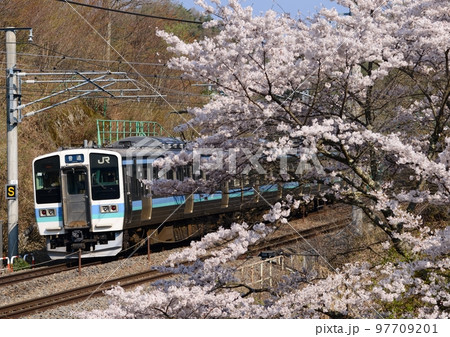 桜咲く横を走る211系長野色 97709201