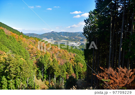 妙見山の紅葉 妙見山の紅葉 97709229