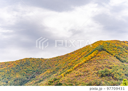 芦ノ牧温泉 紅葉 芦ノ牧温泉 紅葉 97709431