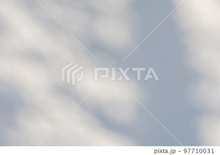 漆喰の壁に映る枯れ木の影　明るめ 97710031