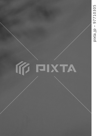 漆喰の壁の一部に映る枝葉の影　タテ　暗め　モノクロ 97710305