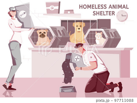 Homeless Animal Shelter Composition 97711088