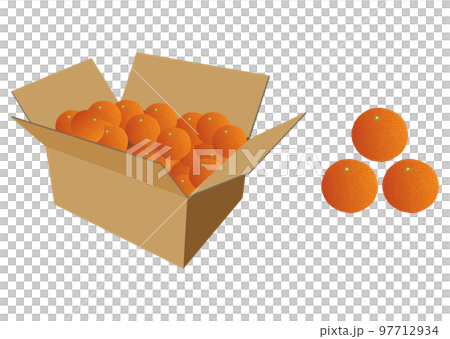 Mandarin orange  97712934