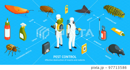 Pest Control Isometric Infographics 97713586