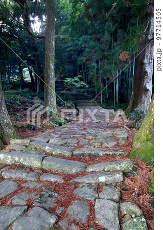 大門坂・熊野古道（和歌山県・智勝浦町） 97714505