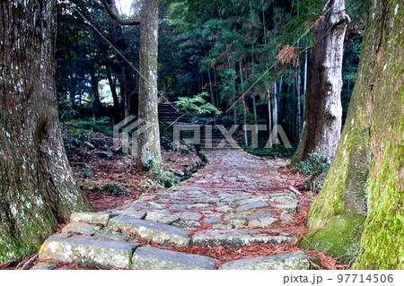 大門坂・熊野古道（和歌山県・智勝浦町） 97714506