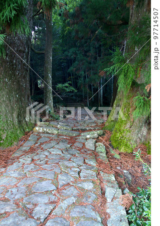 大門坂・熊野古道(和歌山県・智勝浦町) 大門坂・熊野古道(和歌山県・智勝浦町) 97714507