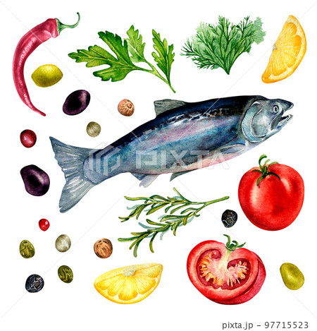 Set of trout and herbs watercolor illustration isolated on white. Set of trout and herbs watercolor illustration isolated on white. 97715523