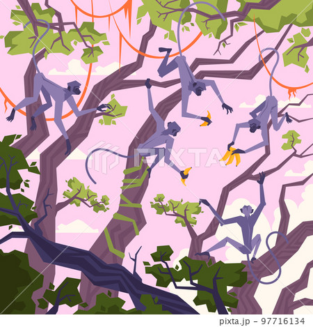 Jungle Landscape Illustration Jungle Landscape Illustration 97716134