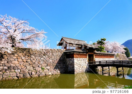 松代城跡公園の桜 松代城跡公園の桜 97716166