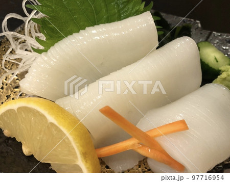 イカのお刺身 イカのお刺身 97716954