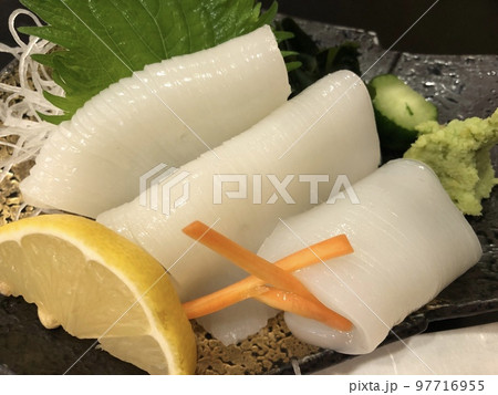 イカのお刺身 イカのお刺身 97716955
