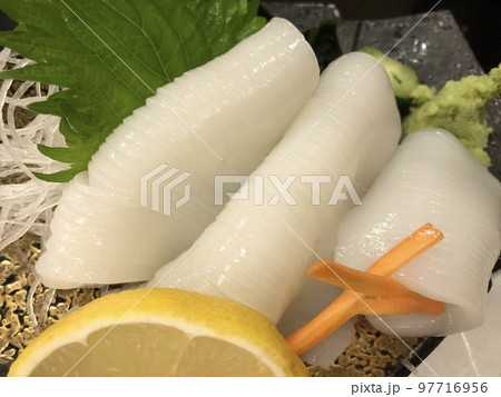 イカのお刺身 イカのお刺身 97716956