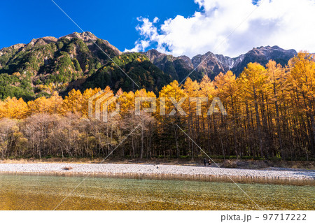 《長野県》秋の上高地・紅葉のカラ松 《長野県》秋の上高地・紅葉のカラ松 97717222