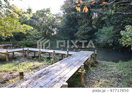 上日寺 行田池 氷見市 上日寺 行田池 氷見市 97717650