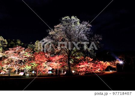 岡山後楽園の幻想庭園 97718407
