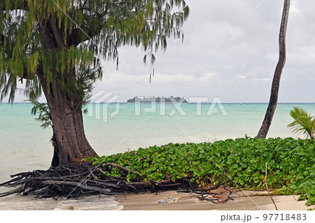 マニャガ島　ハイアット前のビーチから 97718483