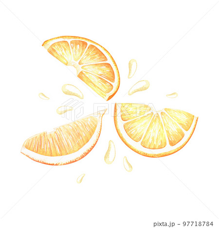 Juicy Lemon Slices. Sour pieces of citrus. Watercolor illustration. Isolated on a white background. For design kitchen utensils, towels, nature prints, product packaging with citrus acid or scent Juicy Lemon Slices. Sour pieces of citrus. Watercolor illustration. Isolated on a white background. For design kitchen utensils, towels, nature prints, product packaging with citrus acid or scent 97718784