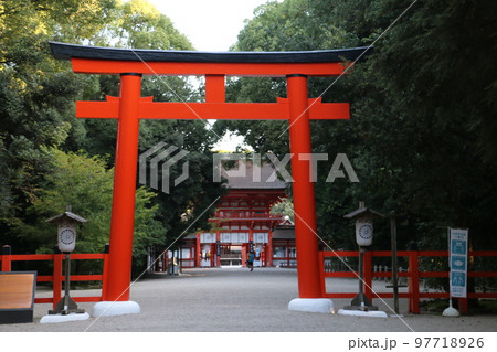 壮麗な下鴨神社の境内 97718926