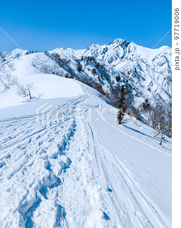 冬の遠見尾根トレッキング：五竜岳を望む 97719006