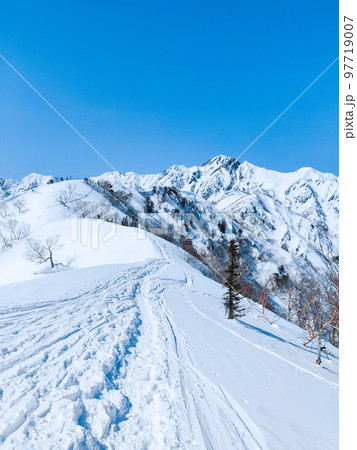 冬の遠見尾根トレッキング：五竜岳を望む 97719007