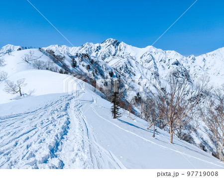 冬の遠見尾根トレッキング：五竜岳を望む 97719008