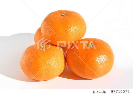 みかん（南柑20号） 97719075