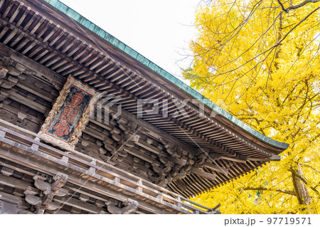 仙台東照宮　随身門　扁額　銀杏 97719571