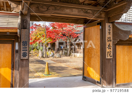 仙岳院　紅葉 97719588