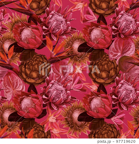 Protea seamless pattern. Viva Magenta Color. trendy color 2023. watercolor realist flowers of protea and anthurium. Illustration wallpaper. fabric print Protea seamless pattern. Viva Magenta Color. trendy color 2023. watercolor realist flowers of protea and anthurium. Illustration wallpaper. fabric print 97719620