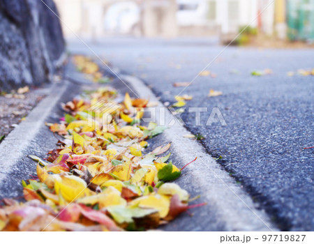 側溝にたまる色とりどりの落ち葉 側溝にたまる色とりどりの落ち葉 97719827