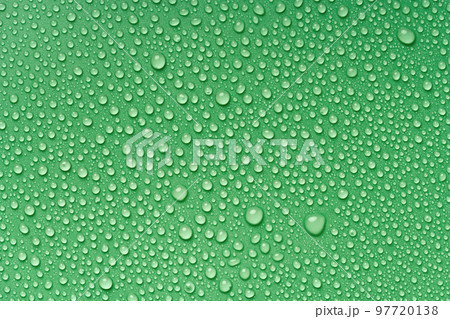 Water drops macro texture on a green background. High resolution. 97720138