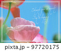サンキューカード 97720175