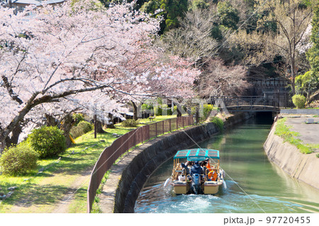 満開の桜の下の「びわ湖疏水船」～山科付近にて 97720455