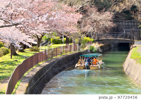 満開の桜の下の「びわ湖疏水船」～山科付近にて 97720456