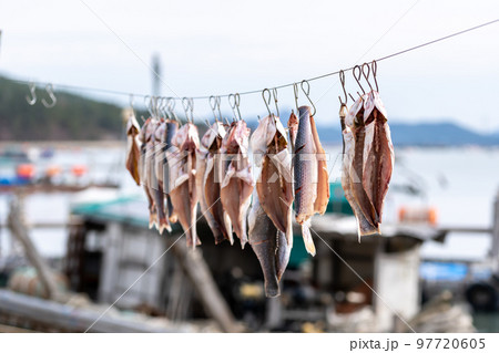 Dried fish hanging 97720605
