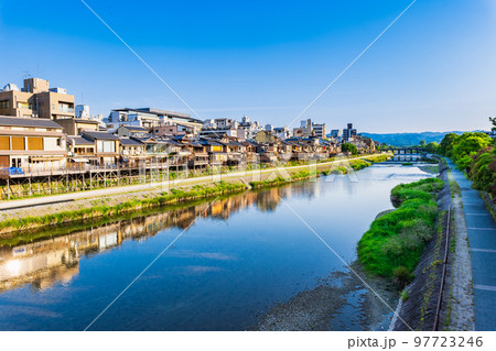 春の京都　朝の鴨川　四条大橋周辺 97723246