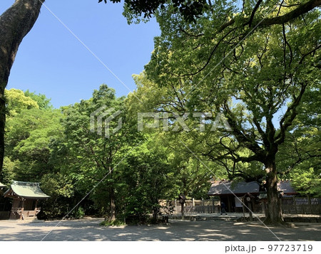 熱田神宮境内の上知我麻神社 熱田神宮境内の上知我麻神社 97723719