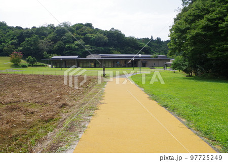 荒神谷史跡公園の景色 97725249