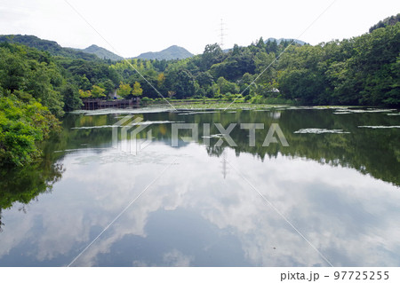 荒神谷史跡公園の西谷池の景色 97725255
