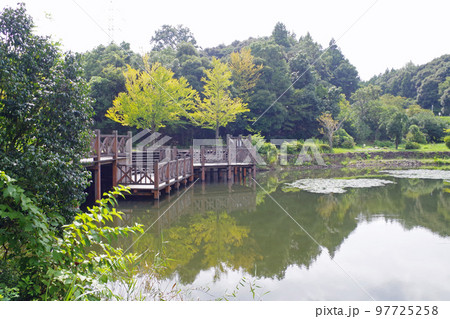 荒神谷史跡公園の西谷池の景色 97725258