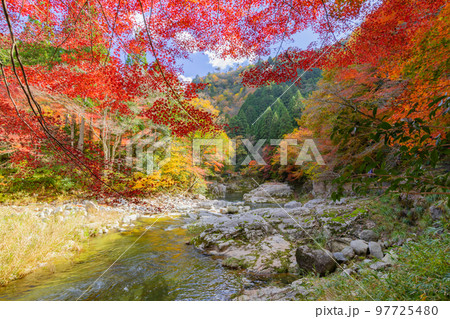 国指定名勝「奥津渓」の紅葉 97725480