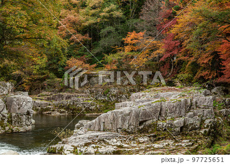 国指定名勝「奥津渓」の紅葉 97725651