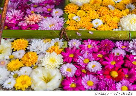 和心　冬の花手水 97726225
